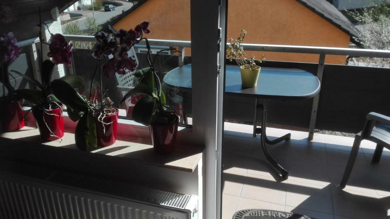 Obere Ferienwohnung Asshoff Zwischen Odenwald, Taubertal Und Bauland Berolzheim Ngoại thất bức ảnh