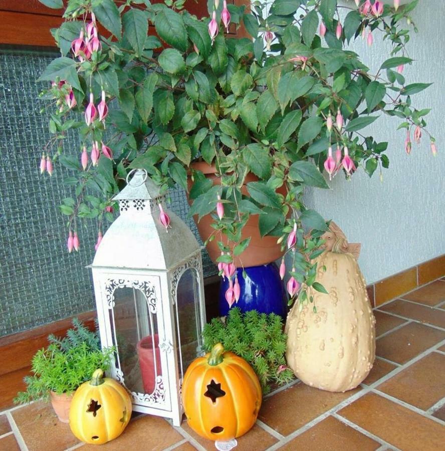 Obere Ferienwohnung Asshoff Zwischen Odenwald, Taubertal Und Bauland Berolzheim Ngoại thất bức ảnh